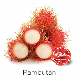 Rambután